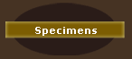 Specimens