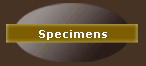 Specimens